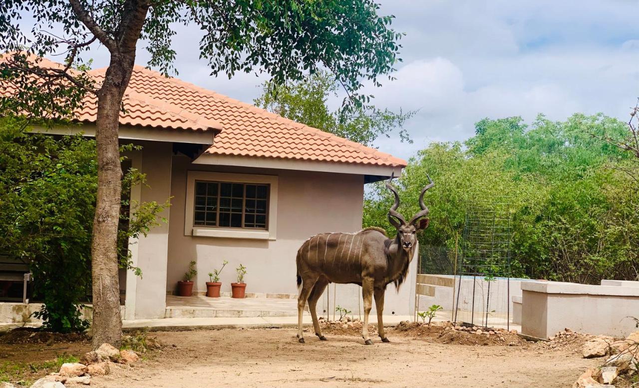 Impala Lily Villa Marloth Park Luaran gambar