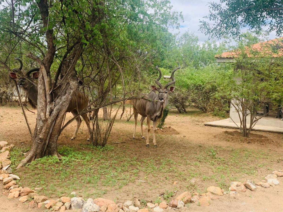 Impala Lily Villa Marloth Park Luaran gambar