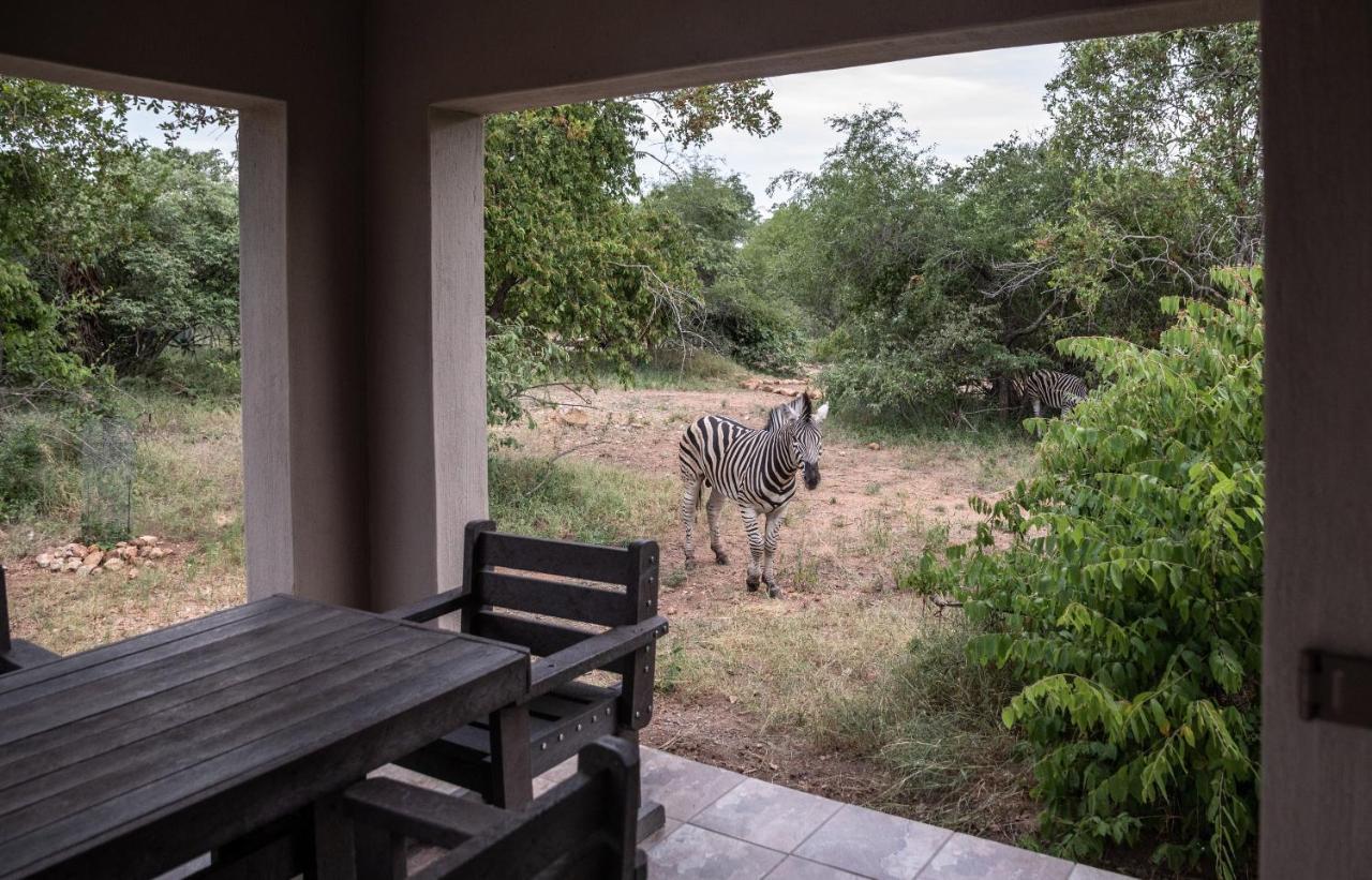 Impala Lily Villa Marloth Park Luaran gambar